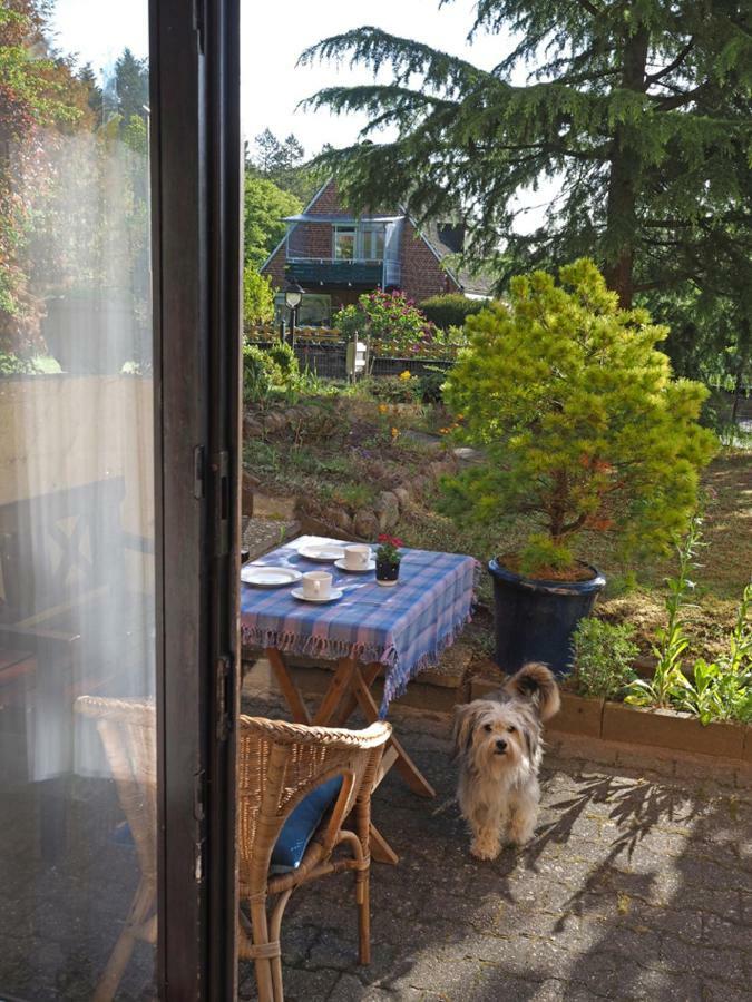 Ferienwohnung Am Waldrand, Hitzacker Exteriér fotografie